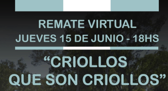 Remate «Criollos que son Criollos» – El Rincón