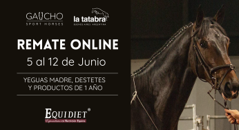 Remate Virtual – Haras La Tatabra y Gaucho Sport Horses