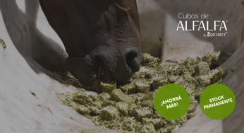 ¡Pedí tus Cubos de Alfalfa!