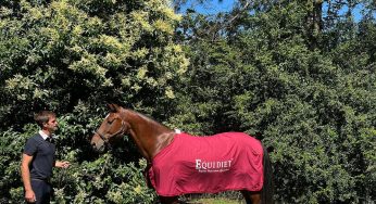 Haras Cooper usa y recomienda Equidiet