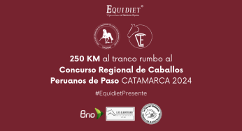 250km al tranco rumbo al Concurso Regional de Caballos Peruanos de Paso 2024