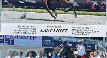 ¡Last Shift llegó al triunfo en Gulfstream Park con Equidiet!