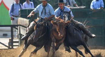 Cabaña La Pacífica 🤝 Equidiet