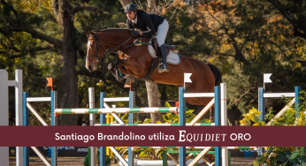 Santiago Brandolino, jinete referente del Salto, utiliza Equidiet ORO
