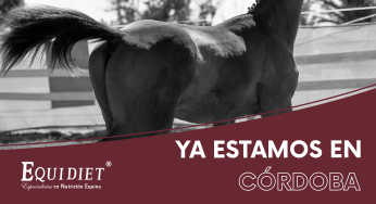¡Llegamos a Córdoba!