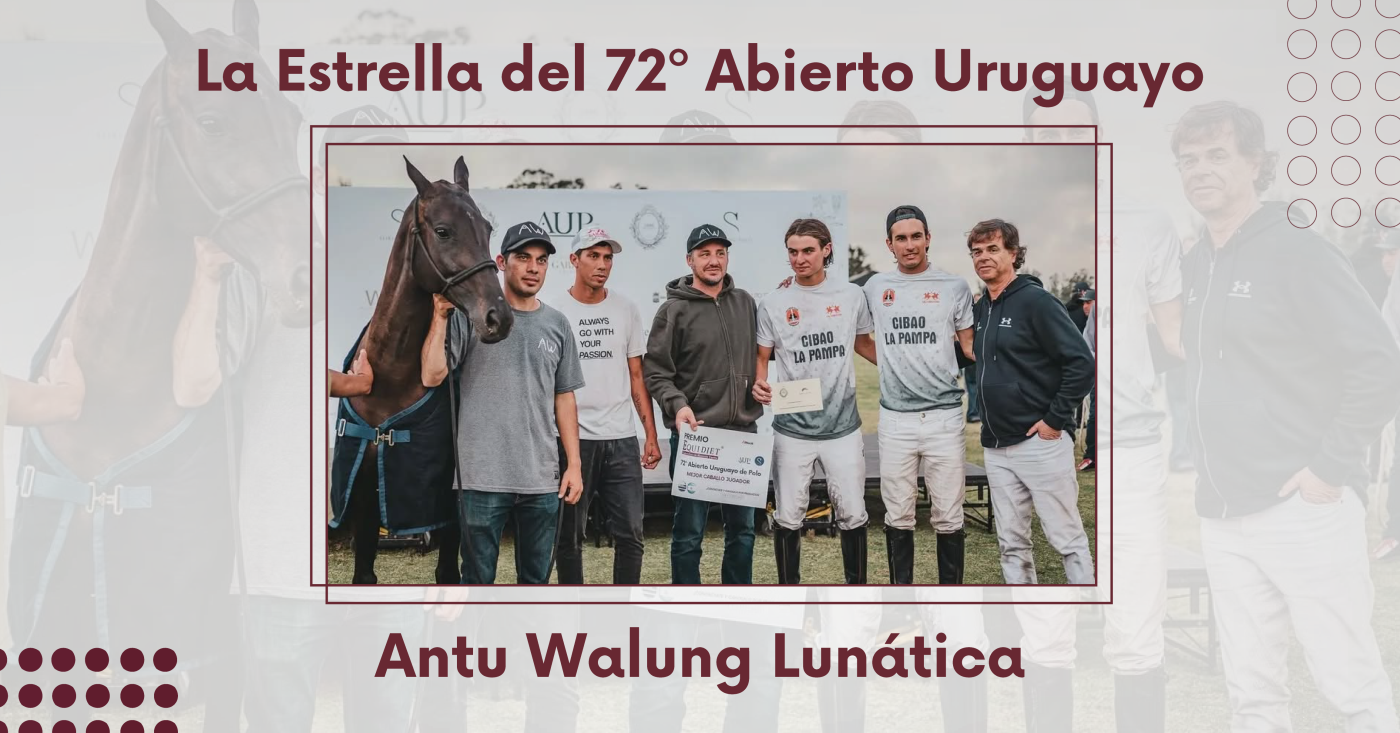 Portada de la nota sobre Antu Walung Lunática, Mejor Yegua del 72º Abierto Uruguayo de Polo