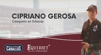 Cipriano Gerosa: rendimiento y genética en barriles