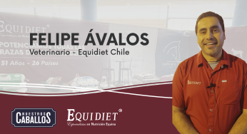Felipe Ávalos: 15 años de Equidiet en Chile