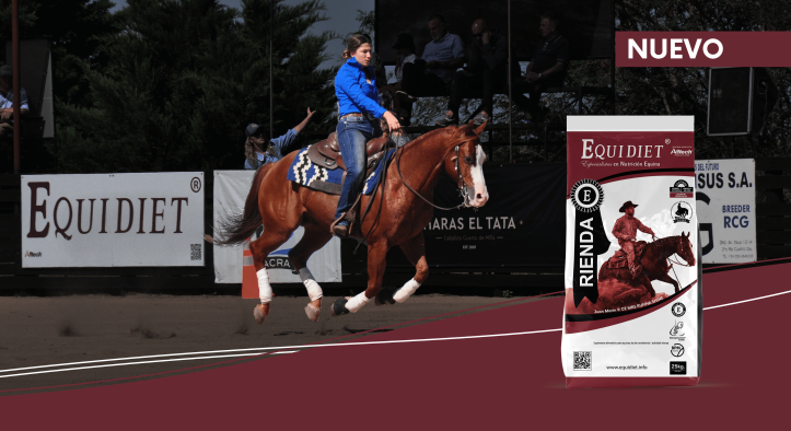 Nuevo Equidiet® RIENDA: Nutrición de Alto Rendimiento para Caballos de Rienda