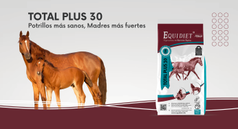 TOTAL PLUS 30, el Suplemento que Marca la Diferencia