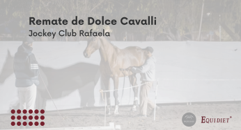 Equidiet presente en el remate de Dolce Cavalli