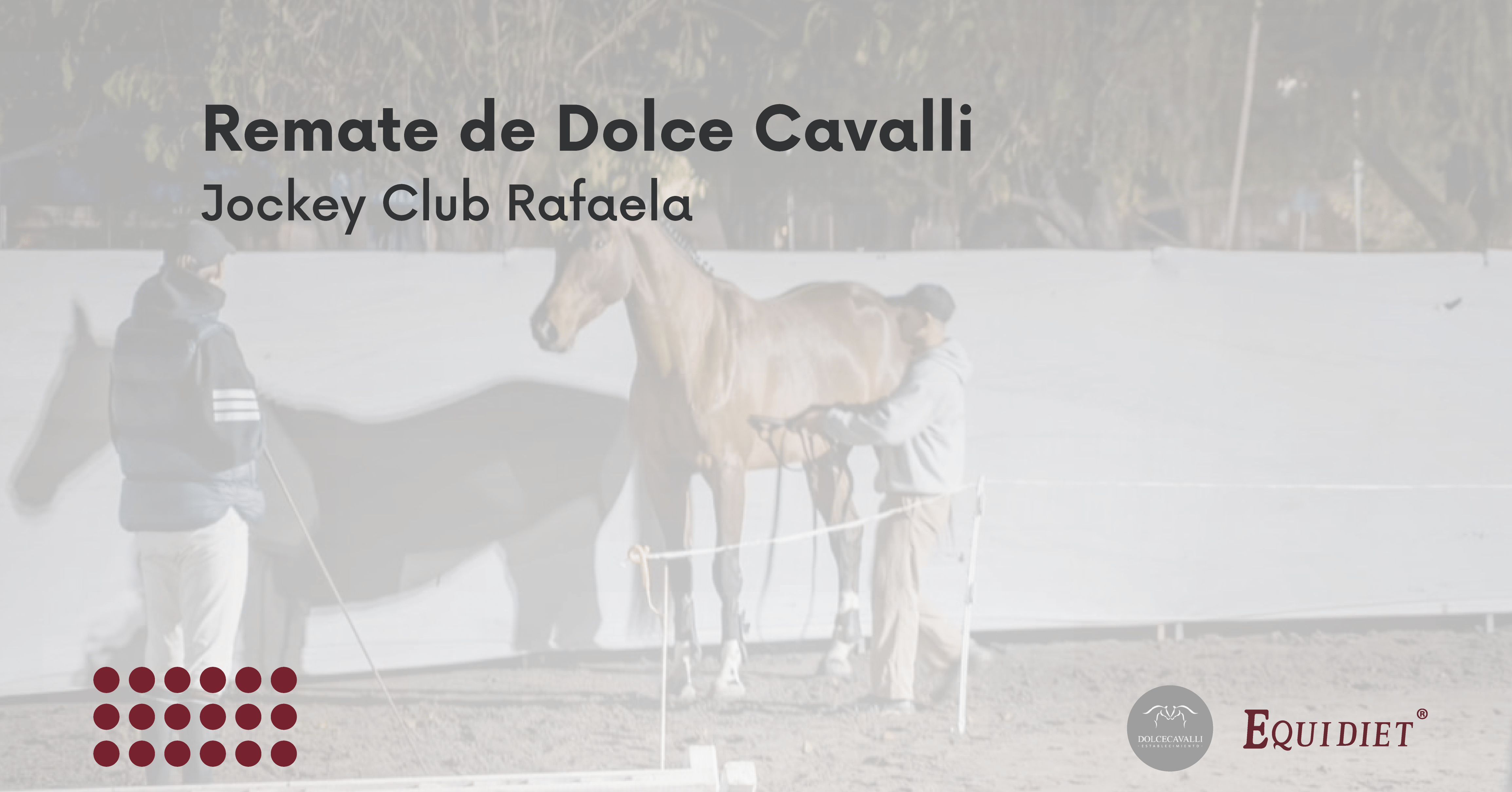 Equidiet presente en el remate de Dolce Cavalli