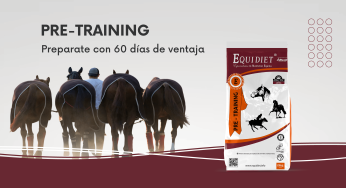 Equidiet Pre-Training: entrenamiento de base con nutrición profesional