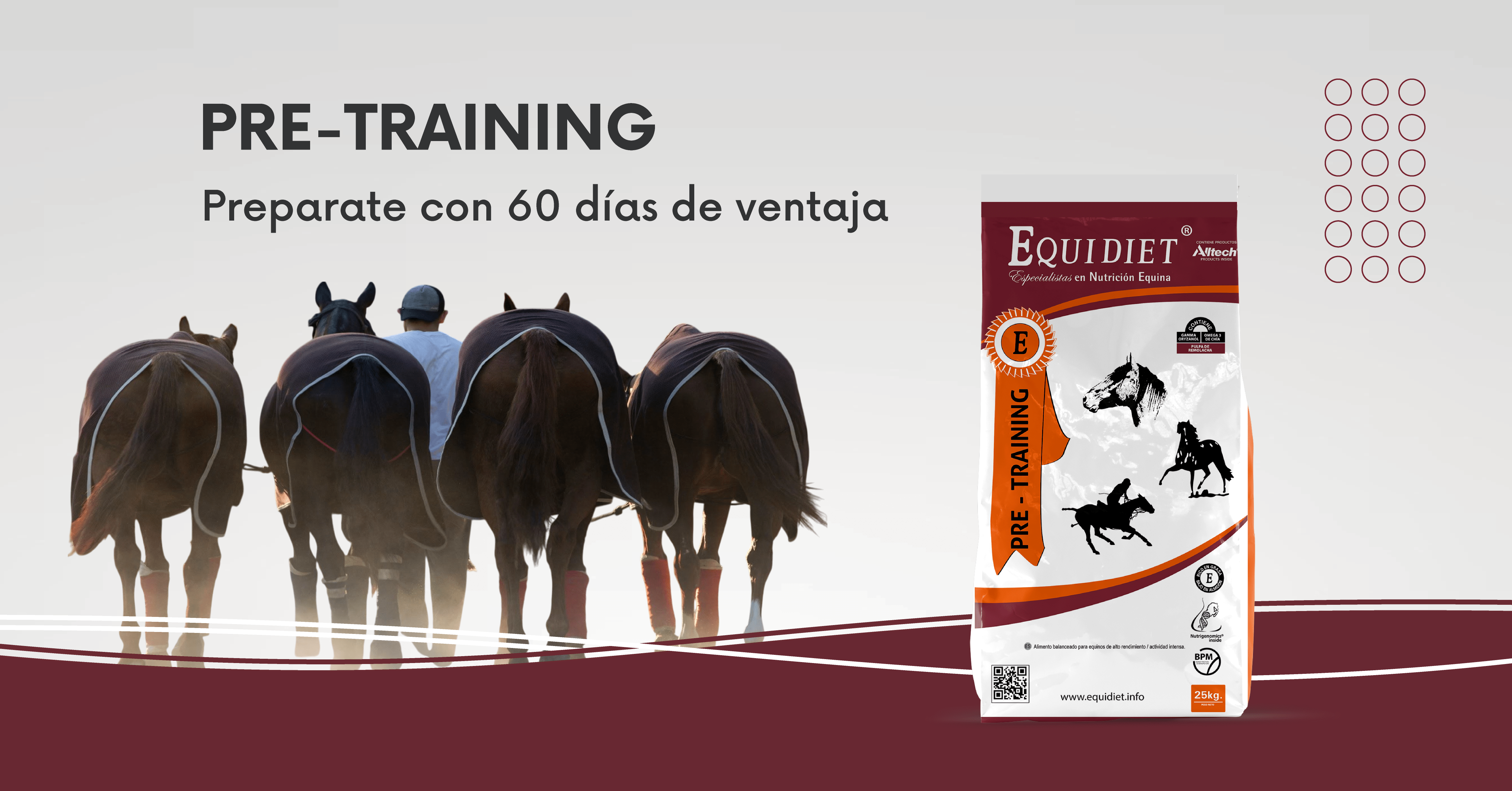 Equidiet Pre-Training: entrenamiento de base con nutrición profesional