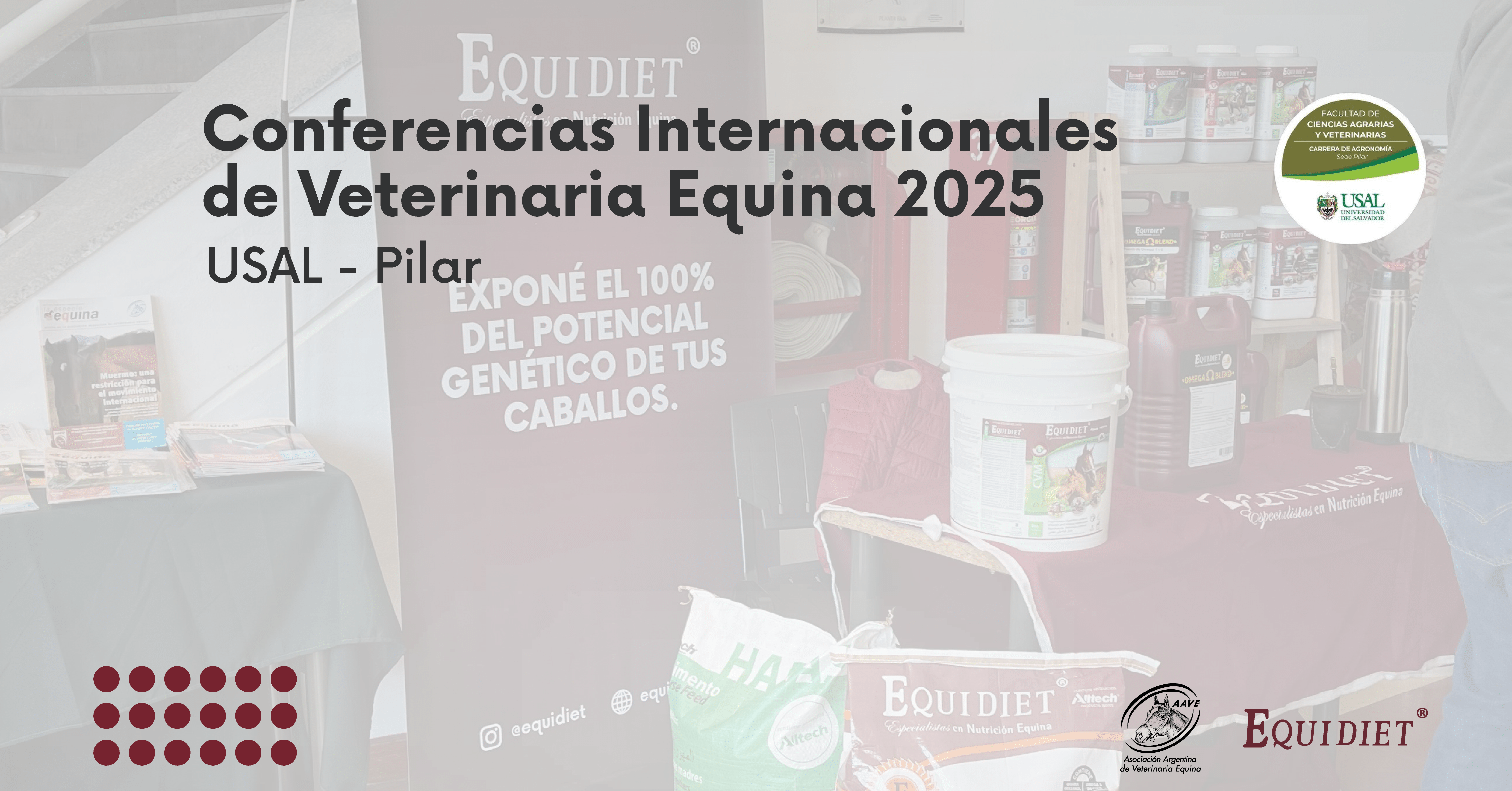 Acompañamos una nueva edición junto a los profesionales del cuidado equino