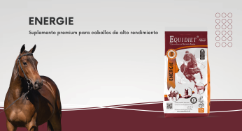 Equidiet Energie: energía controlada para competir