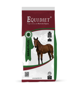 HARAS PLUS