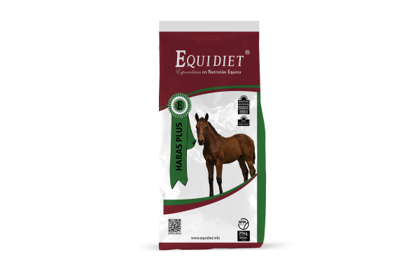 HARAS PLUS