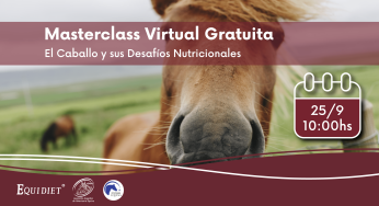 Masterclass gratuita: El caballo y sus desafíos nutricionales