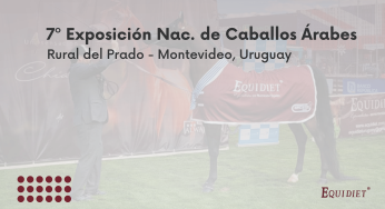 Equidiet en la 7º Exposición Nacional de Caballos Árabes