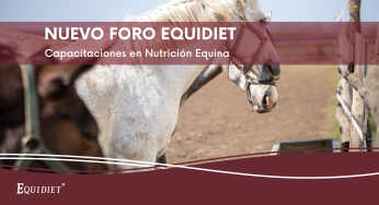 Nuevo foro Equidiet: capacitaciones en nutrición equina
