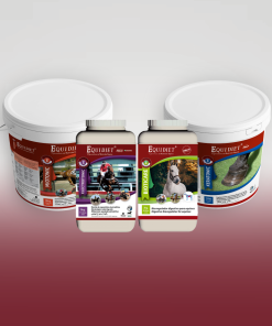 Nutracéuticos Equinos: Salud Muscular y Recuperación