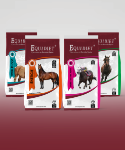 Suplementos para Caballos: Energía y Vitaminas