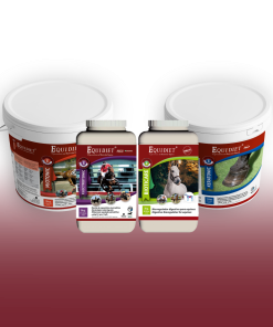 Nutracéuticos Equinos: Salud Muscular y Recuperación